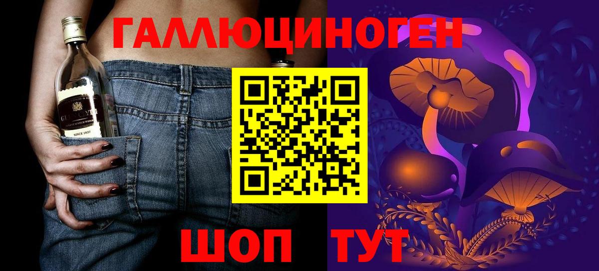 где купить   Вход с VPN  Псилоцибиновые грибы Psilocybine cubensis  Волгодонск  Галлюциногенные грибы MAGIC MUSHROOMS 
